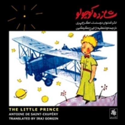 Picture of The Little Prince 