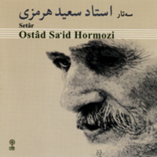 Picture of Setar of Ostad Saeed Hormozi (2)